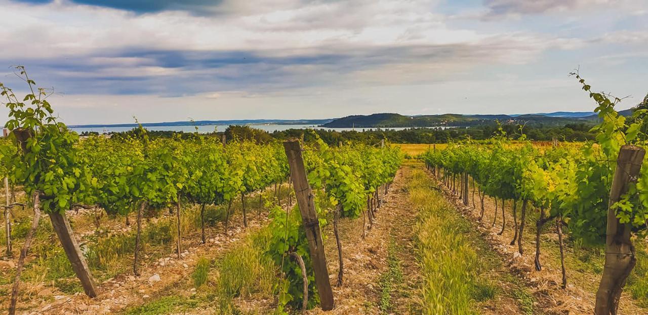 Koczor Winery & Guesthouse Balatonfured Exterior photo